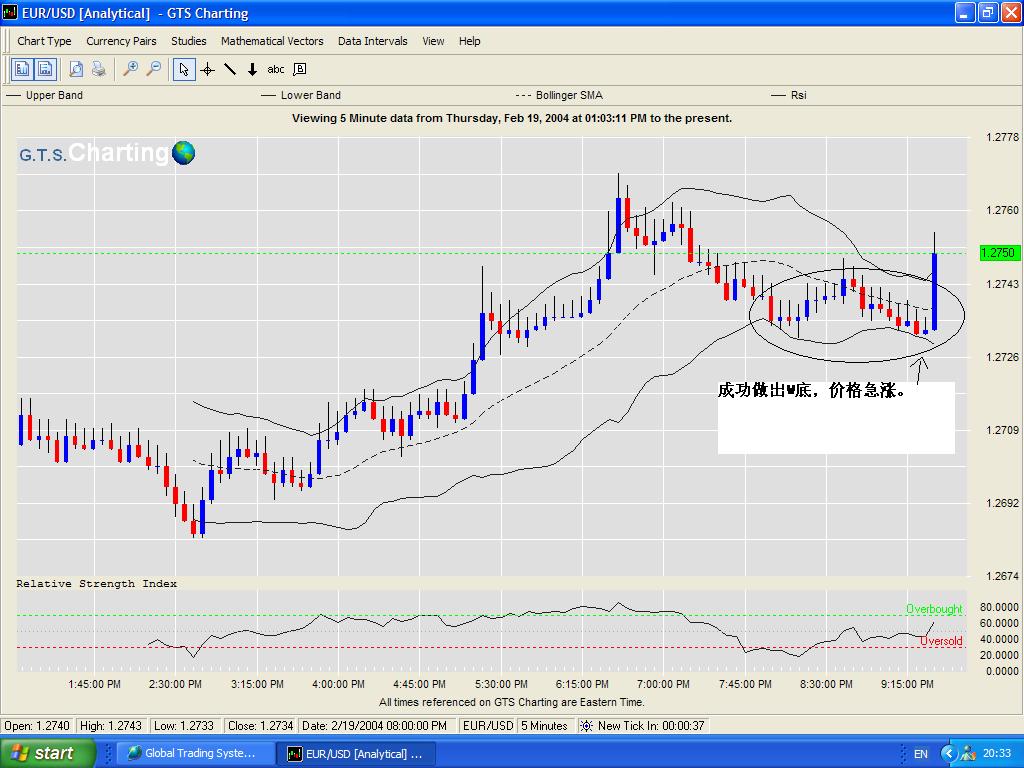 W Bottom_EURUSD_19Feb2004.JPG